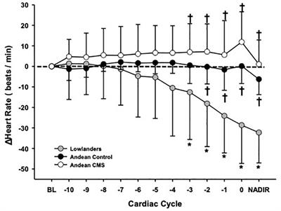 Global REACH: Assessment of Brady-Arrhythmias in Andeans and Lowlanders During Apnea at 4330 m